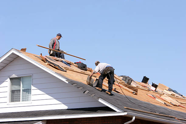 Best Gutter Replacement  in Lancaster, SC